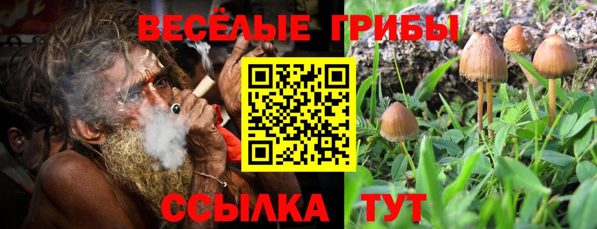 Галлюциногенные грибы прущие грибы Майский